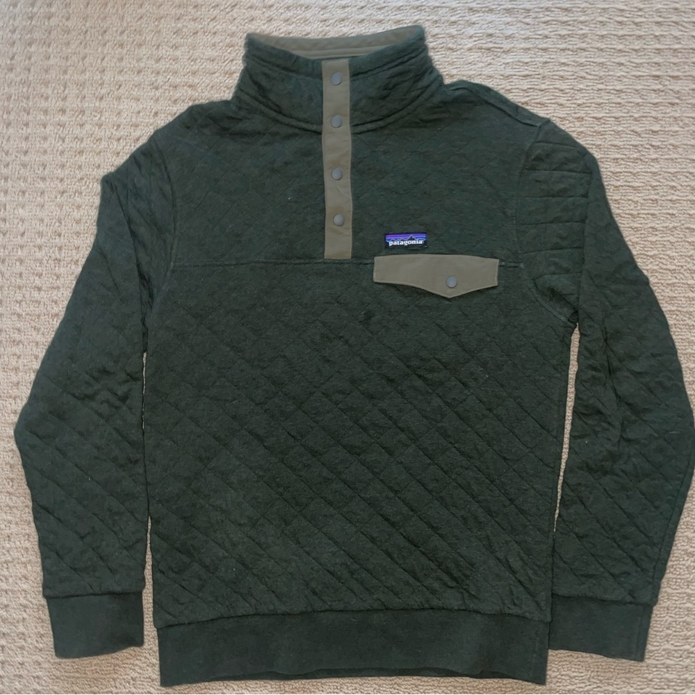 Forest Green Mens Patagonia Button Up Sweater